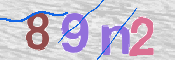 Image Anti-spam