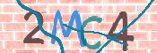 Image Anti-spam