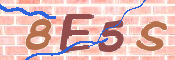 Image Anti-spam