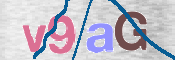 Image Anti-spam
