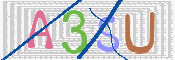 Image Anti-spam