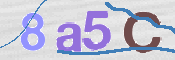 Image Anti-spam