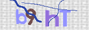 Image Anti-spam