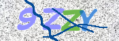 Image Anti-spam