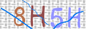 Image Anti-spam