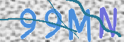 Image Anti-spam