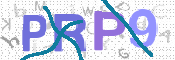 Image Anti-spam