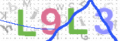 Image Anti-spam
