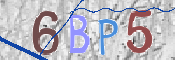 Image Anti-spam