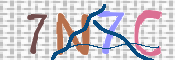 Image Anti-spam