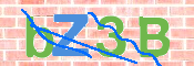 Image Anti-spam