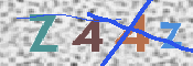 Image Anti-spam