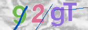 Image Anti-spam