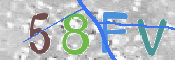 Image Anti-spam