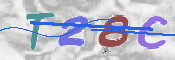 Image Anti-spam