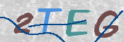 Image Anti-spam
